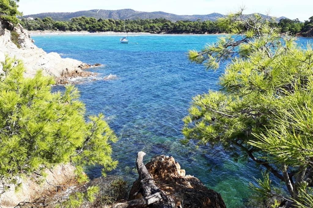 T2 Clim Parking, Entre Nature Et Plage Hyeres Exterior photo